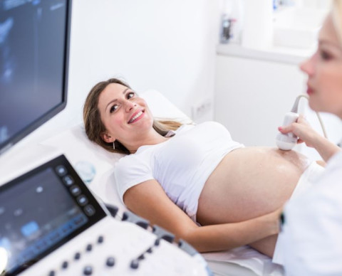 Les échographies de grossesse